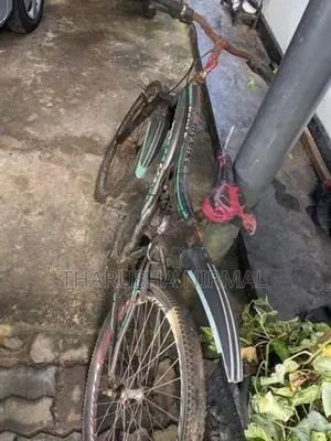 Tomahawk Mountain Bicycle