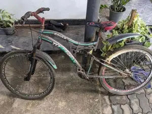 Tomahawk Mountain Bicycle