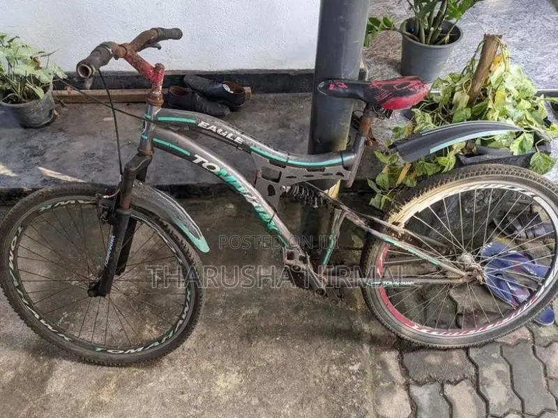 Tomahawk Mountain Bicycle
