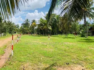 නිදහසේ ඉන්න හොද ඉඩමක් පොතුහැර