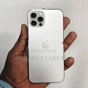 Apple iPhone 12 Pro 256GB (Used)