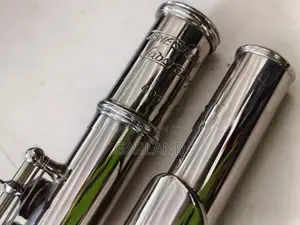 TANE'S Concert Flute-Japan