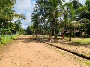 නිදහසේ ඉන්න හොද ඉඩමක් පොතුහැර