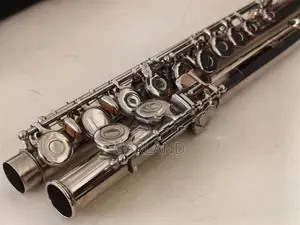 TANE'S Concert Flute-Japan