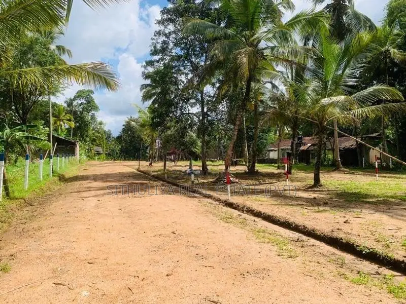 කුරුණෑගල පොතුහැරින් නදහසේ ඉන්න තැනක්