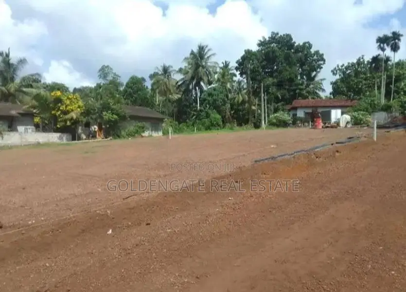 Udugampola නගරයෙන් 244 බස් පාරට 500m දුරින් නවතම ඉඩම්
