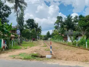 නිදහසේ ඉන්න හොද ඉඩමක් පොතුහැර