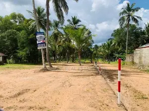 නිදහසේ ඉන්න හොද ඉඩමක් පොතුහැර