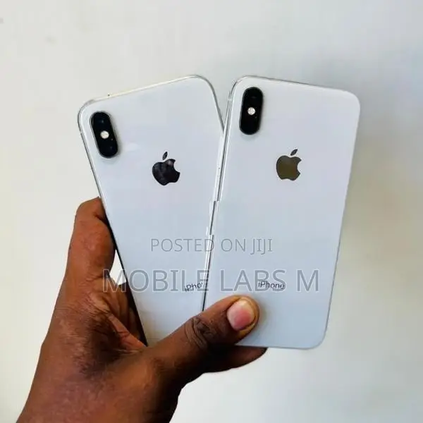 Apple iPhone X 256GB (Used)