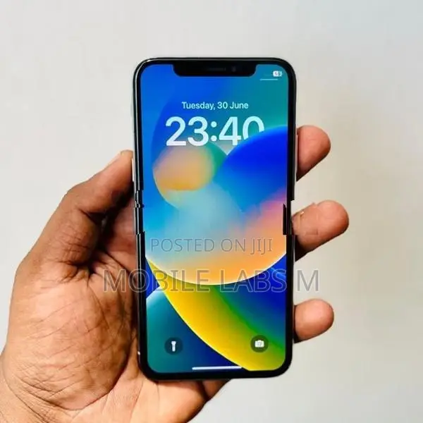 Apple iPhone X 256GB (Used)