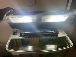 Fish Tank with Accessories