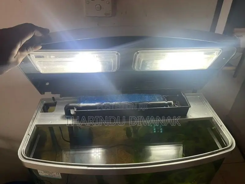 Fish Tank with Accessories