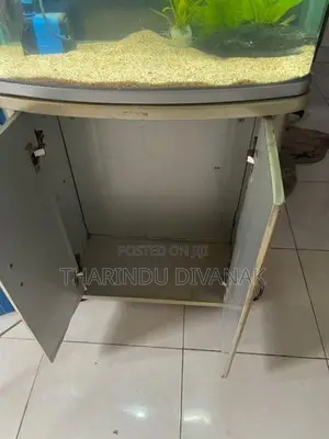 Fish Tank with Accessories