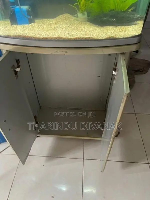 Fish Tank with Accessories