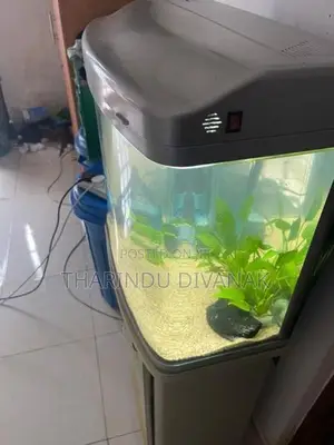 Fish Tank with Accessories