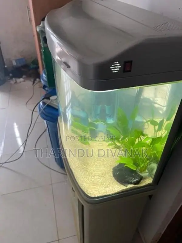 Fish Tank with Accessories