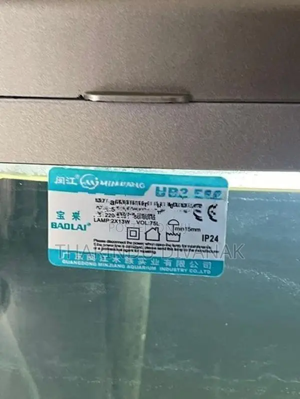 Fish Tank with Accessories
