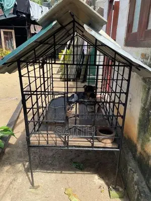 Dog Cage