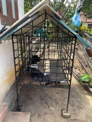 Dog Cage