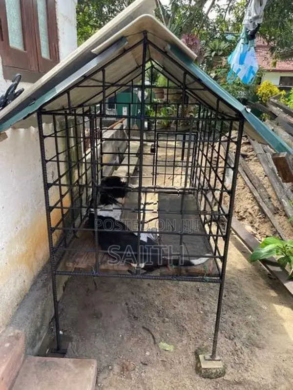 Dog Cage