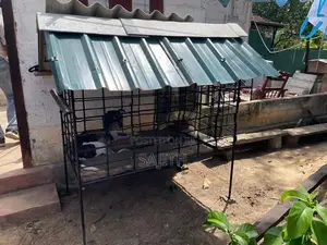 Dog Cage