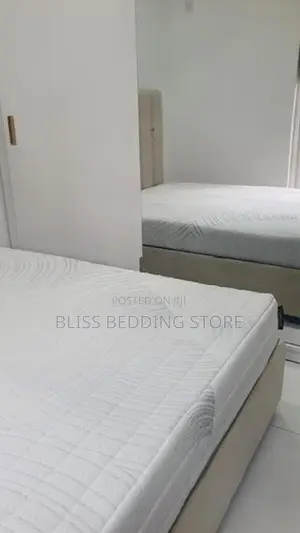 Latex Mattress 6x5