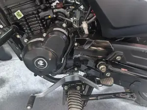 Bajaj Platina 100 Brand New 2026