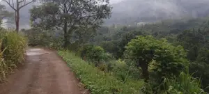 Land for Sale in Nuwara Eliya