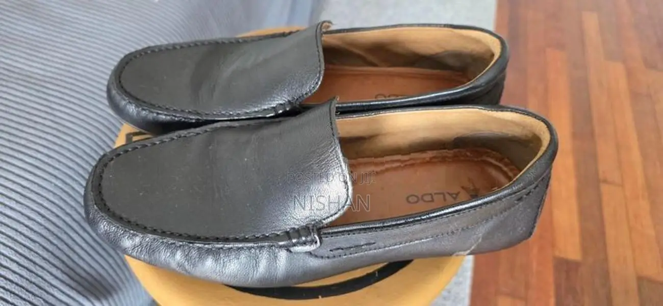 ALDO Leather Shoes