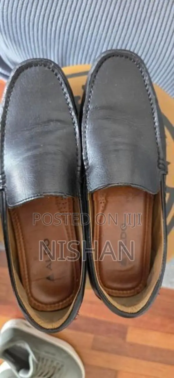 ALDO Leather Shoes