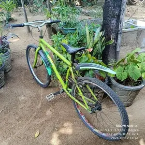 mountain bicycle