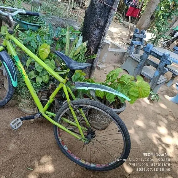 mountain bicycle