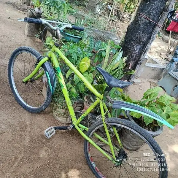 mountain bicycle