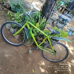 mountain bicycle