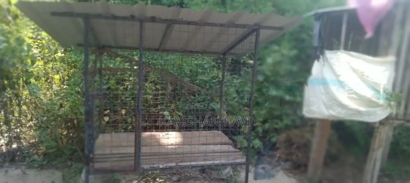 Dog cage