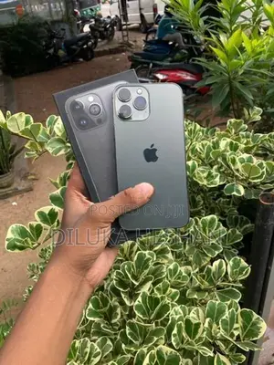 Apple iPhone 13 Pro Max (Used)