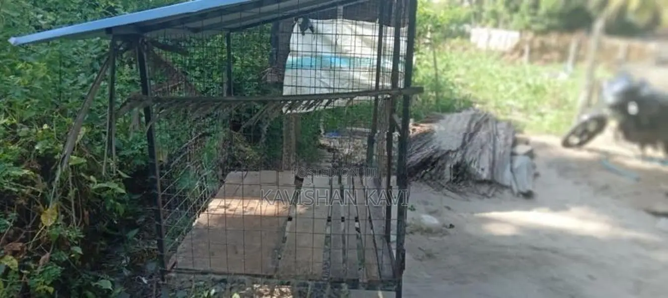 Dog cage