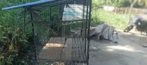 Dog cage