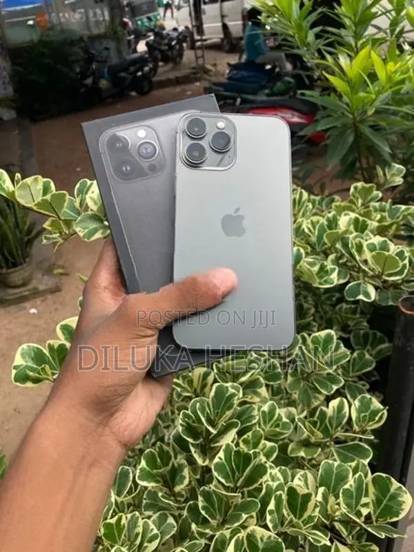 Apple iPhone 13 Pro Max (Used)