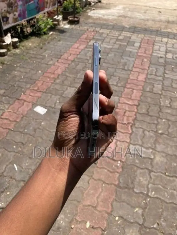 Apple iPhone 13 Pro Max (Used)