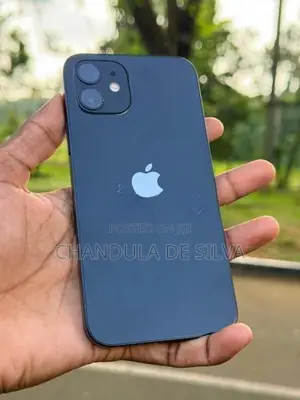 Apple iPhone 12 256GB (Used)