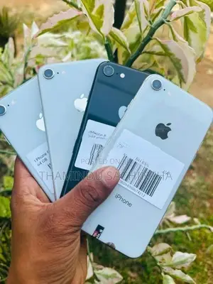 Apple iPhone 8 (Used)