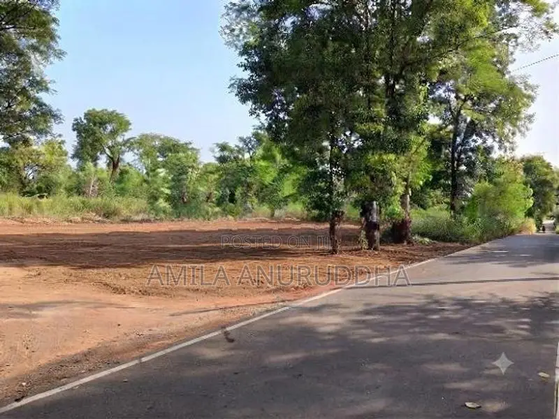 වැල්ලවය - කොළඹ ගාලු පාරට ඉතා ආසන්නව ඇතිළිවැවෙන් ඉඩමක් විකිනීමට