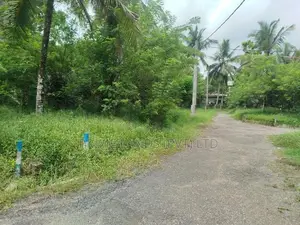 කැස්බෑව නගරයට ආසන්නව බිම් කොටසක් විකිණීමට