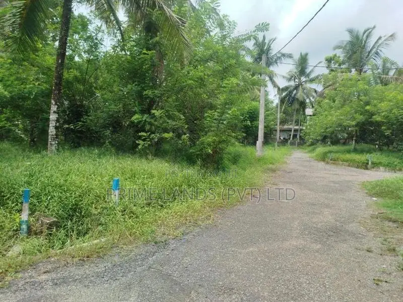 කැස්බෑව නගරයට ආසන්නව බිම් කොටසක් විකිණීමට