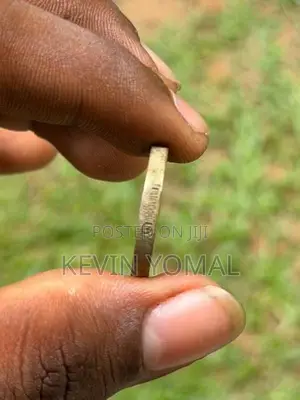 Sri Lanka 1999 World Cup Champions Commemorative Coin
