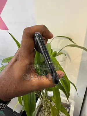 Apple iPhone XS Max (Used)