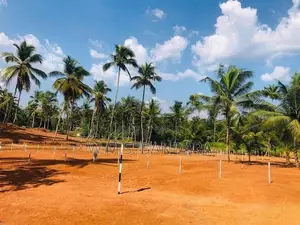 Residential Land for Sale in Pasyala P3