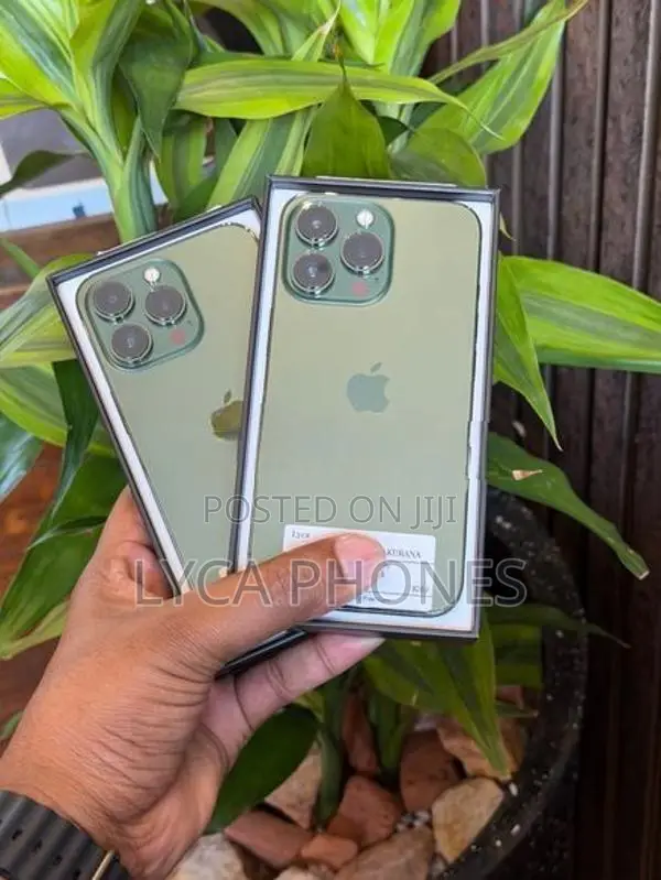 Apple iPhone 13 Pro 256GB (Used)