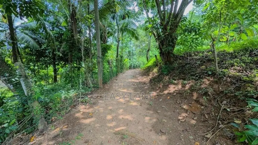 නිට්ටඹුව උෘරපොල අවටින් බිම් කොටස්